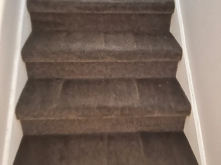 60 Riley Manor Cir — Photo 21
