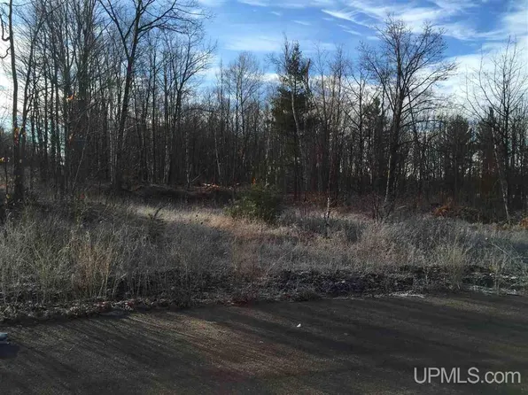 810 South St, Hancock, MI 49930