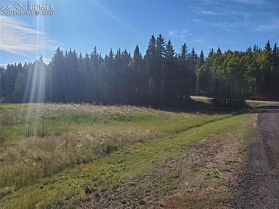 4th image of 309 Pinaceae Hts