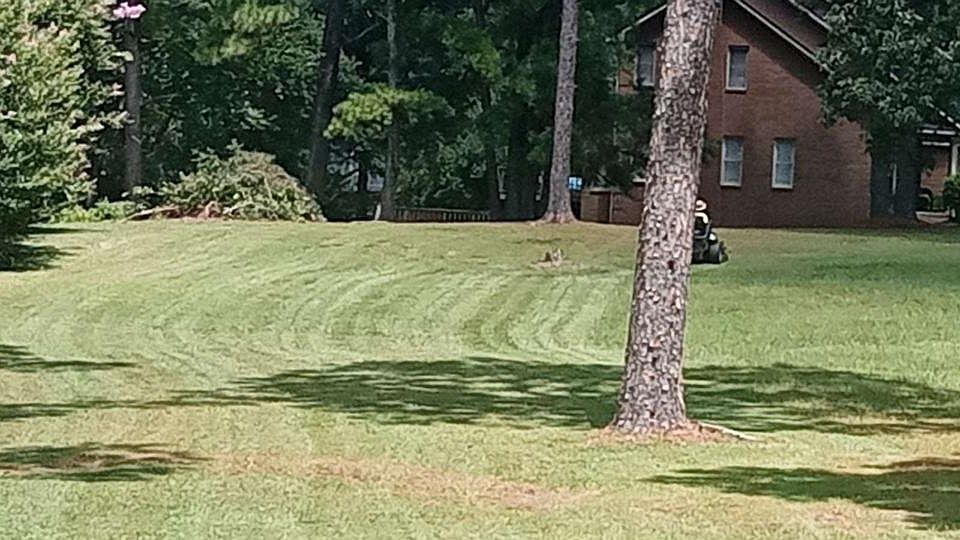 1st image of 207 Timberland Dr