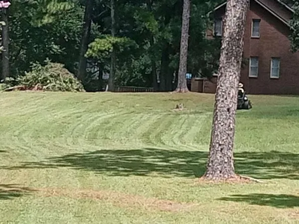 207 Timberland Dr, Cordele, GA 31015
