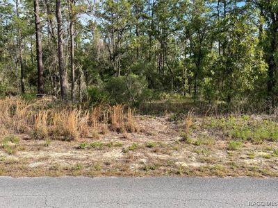 LOT 19 NW Mallard Ave, Dunnellon, FL, 34431