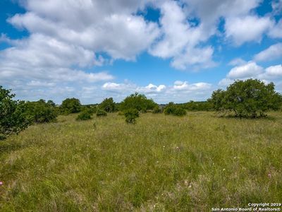 1991 Appellation, New Braunfels, TX, 78132
