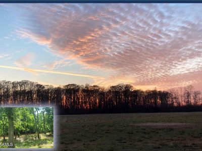 1473 Oscar Rivette Rd, Arnaudville, LA, 70512