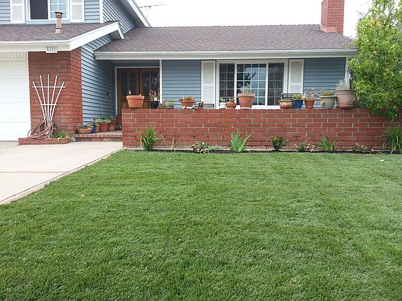 New Lawn