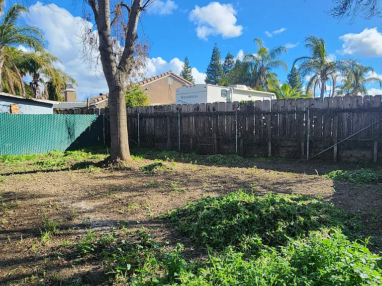 Large backyard