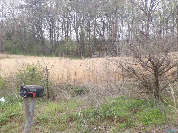 4.4 County Road 369, Trinity, AL 35673