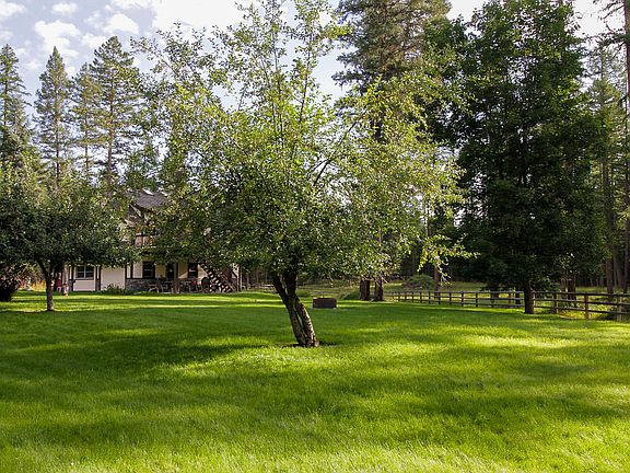 Beautiful fruit trees adorn the front lawn along the driveway.