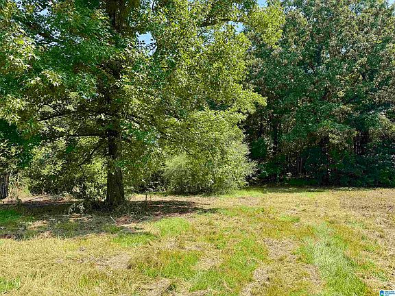 4th image of 775 County Road 64