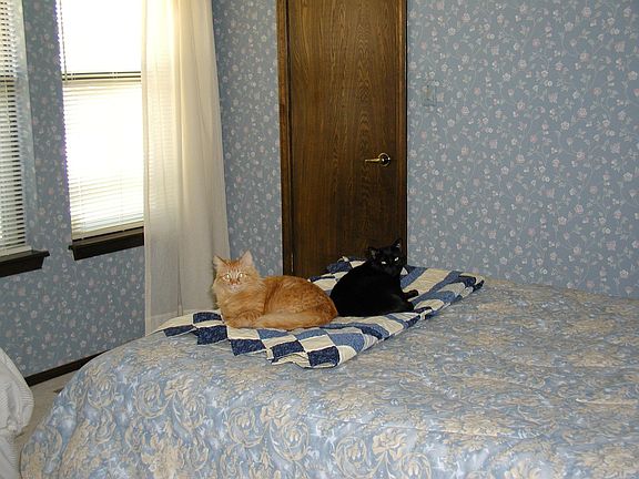 Large Guest Room with Walkin Closet 