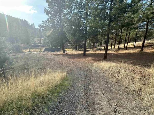 256XX Pine Cone Ct E, Lincoln, WA 99147