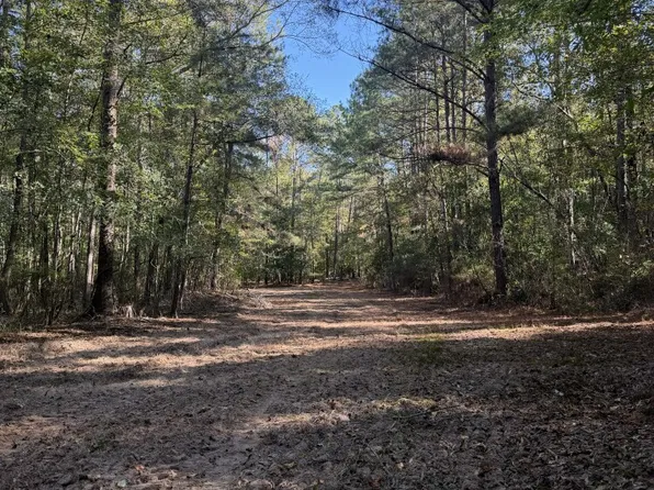 0 County Road 700, Pondville, AL 35034