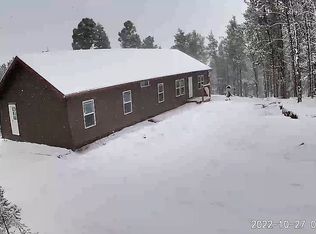 858 Fossil Creek Rd, Florissant, CO 80816