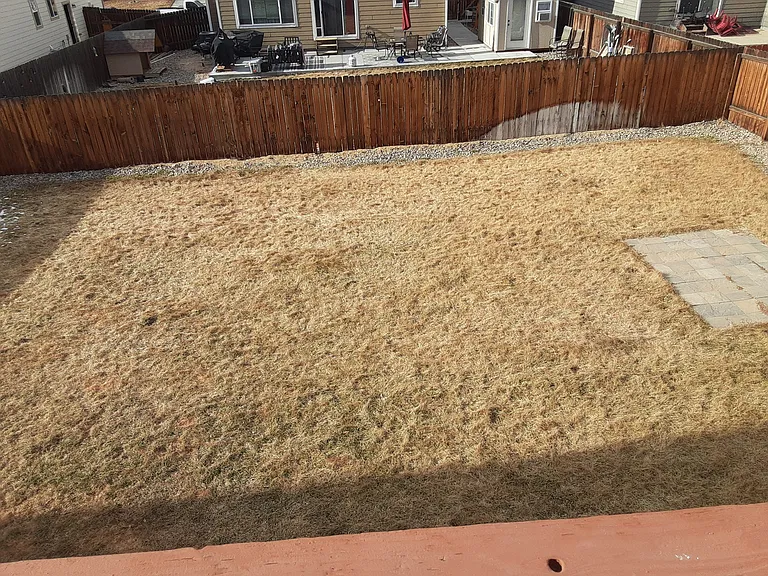 4850 Haiti Way — Photo 3