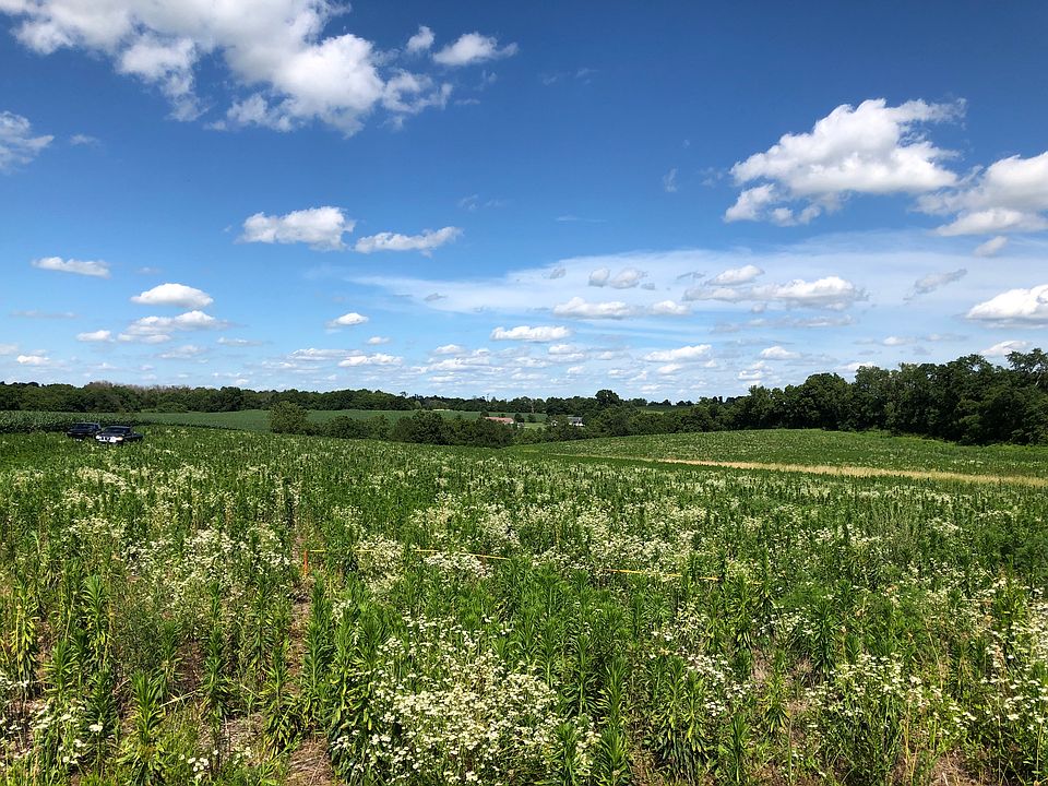 2nd image of 1695 Dry Fork Rd