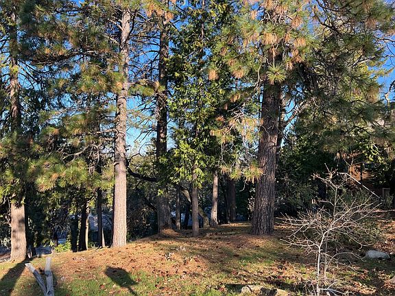 5th image of 1238 Canyon Ridge Ct