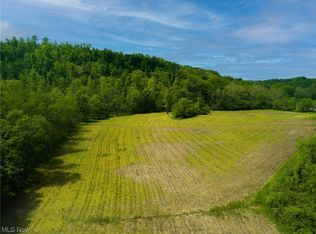 404 E Branch Rd, Lowell, OH 45744