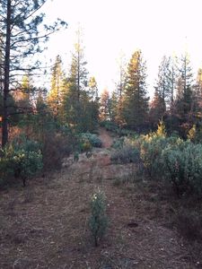 3 River Ridge Rd, Colfax, CA, 95713