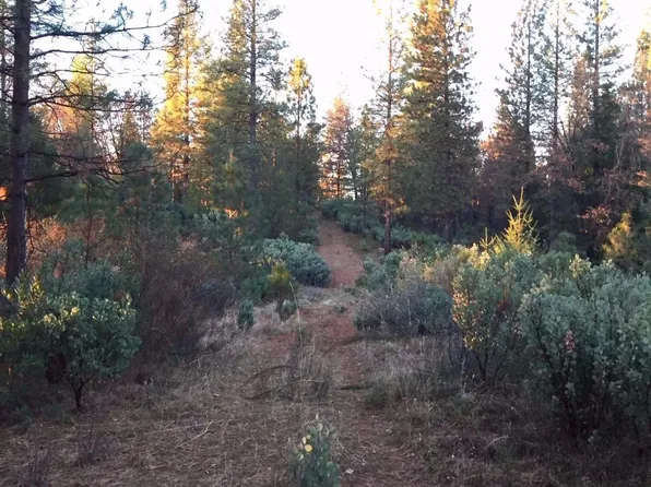 3 River Ridge Rd, Colfax, CA 95713