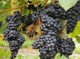 11600 Woodmere Rd, North East, PA 16428