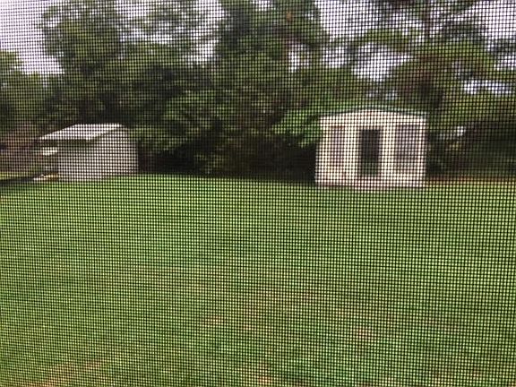 Storage buildings in back yard