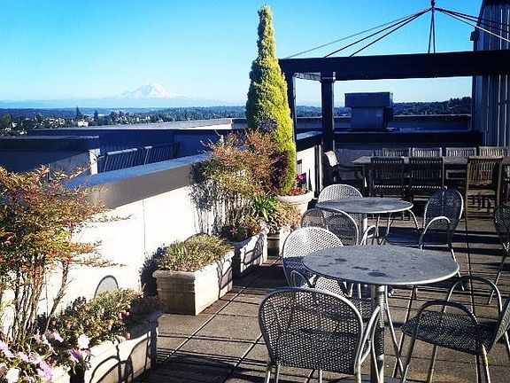 view from rooftop deck