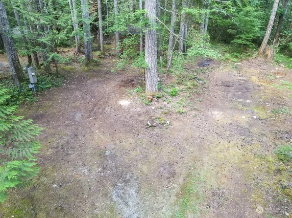 450 N Mt Jupiter Drive, Hoodsport, WA 98548