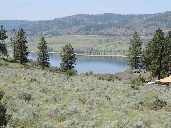 42500 Deer Heights Dr N Lot 43, Davenport, WA 99122