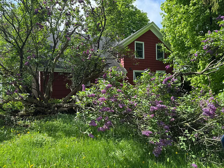 271 N Applegate Rd — Photo 2