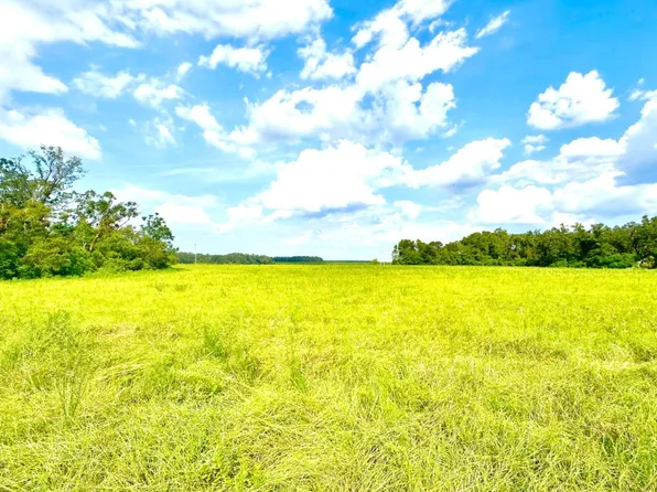 1 E Us Highway 27, Mayo, FL 32066