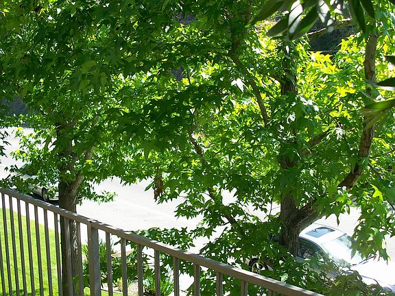 2nd image of 2850 Reynard Way APT 16