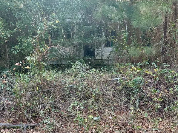611 Old Jefferson Hwy, Woodbine, GA 31569