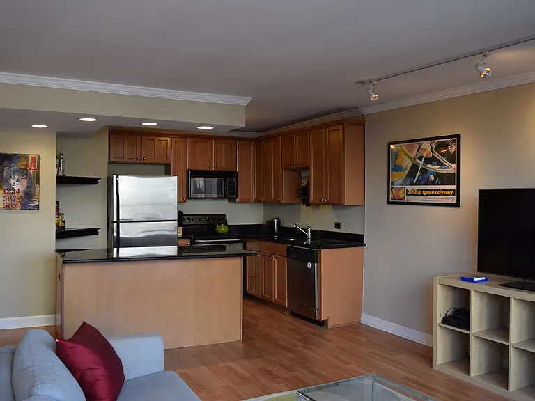 1360 N Sandburg Ter #410 — Photo 6