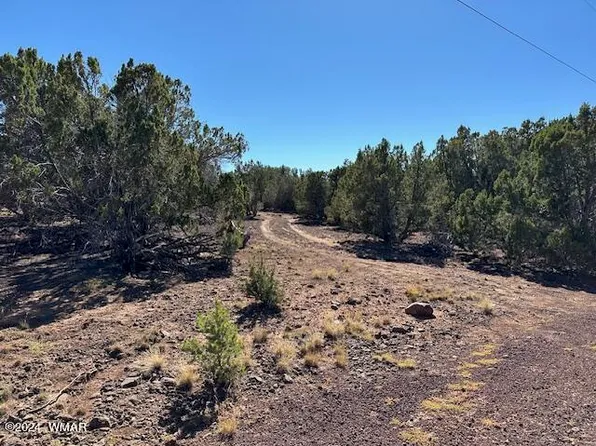 14 County Rd, Concho, AZ 85924