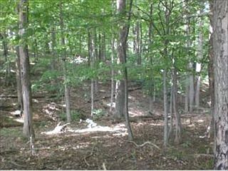 4th image of 4501 E Bethel Ln