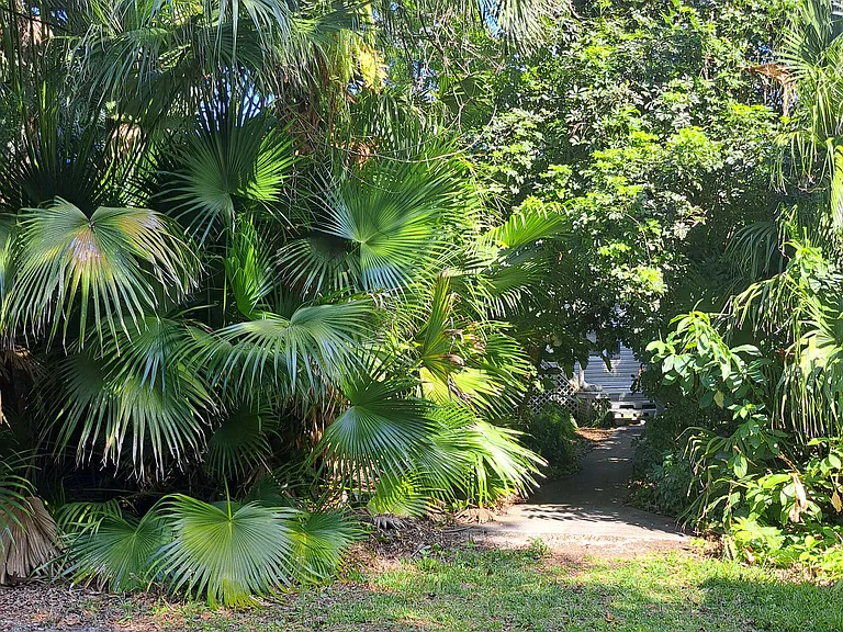 Very private oasis. Incredibly quiet and off the beaten path.