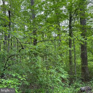 Grange Hall Rd, Centreville, MD, 21617