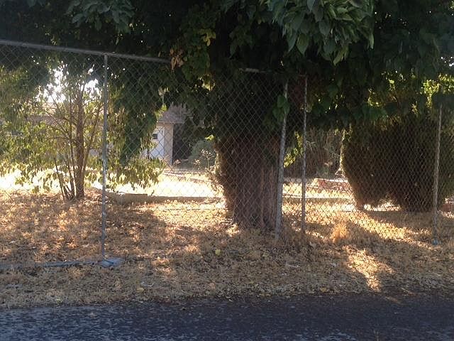 2nd image of 217 N Orange Ave