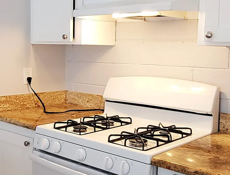 33225 Lake Champlain Ct — Photo 12
