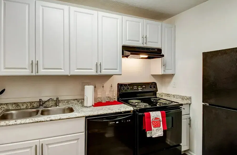 2 bed, 800 sqft, $1,100 — Photo 4