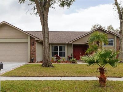 1209 Carrie Wood Dr, Valrico, FL, 33596