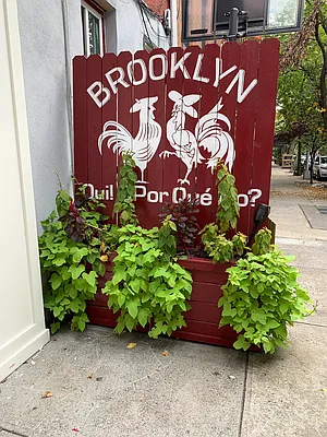 Rented by Compass | media 34