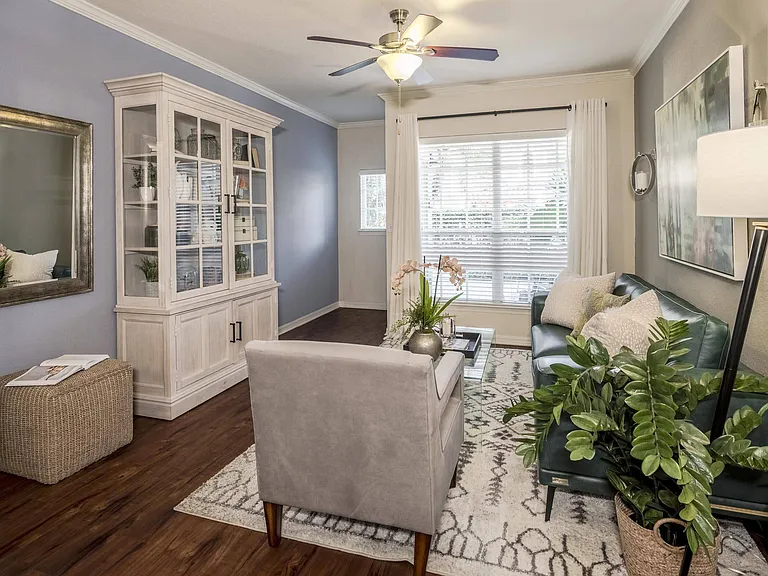 Cozy living room
