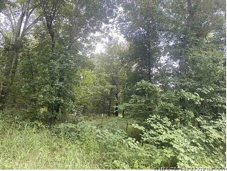 2nd image of S 529th Ave