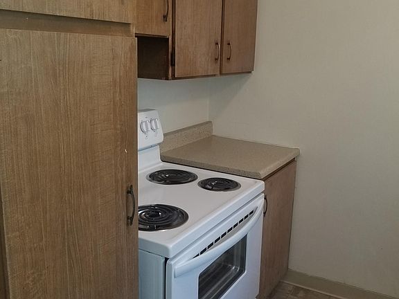 Electric range and Pantry in the kitchen.