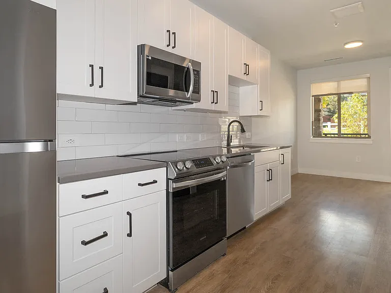 Kitchen and Living Area with Hard Surface Flooring