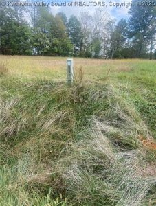 2966 Spring Branch Rd, Leon, WV, 25123