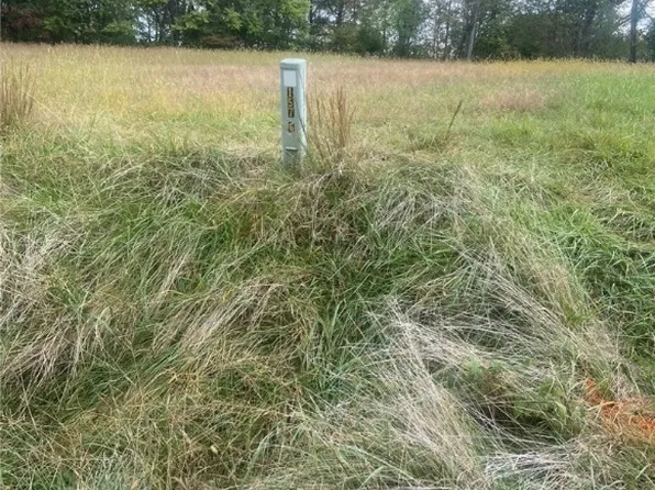 2966 Spring Branch Rd, Leon, WV 25123