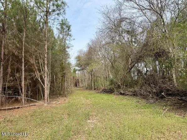 Military Rd, Sandy Hook, MS 39478