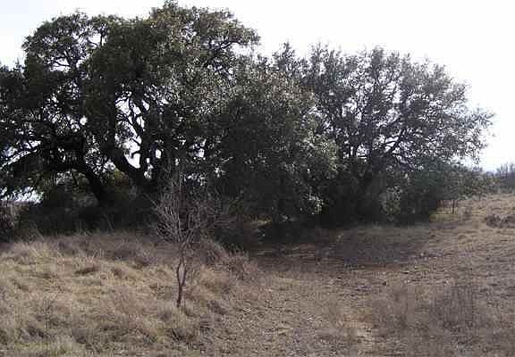 5th image of 10700 County Road 202